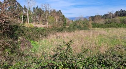 Terrain agricole à Pico de Regalados, Gondiães e Mós de 1 354 m²