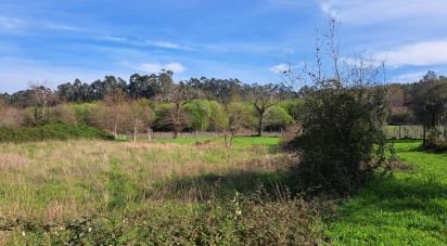 Terrain agricole à Pico de Regalados, Gondiães e Mós de 1 354 m²