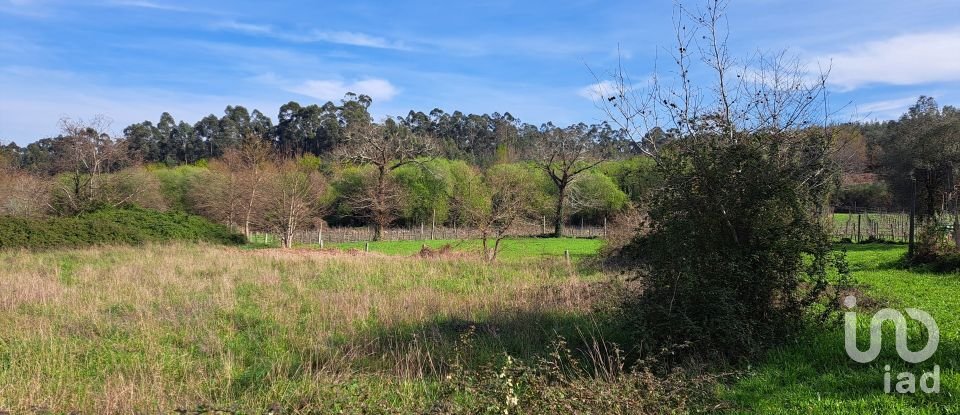 Agricultural land in Pico de Regalados, Gondiães e Mós of 1,354 m²