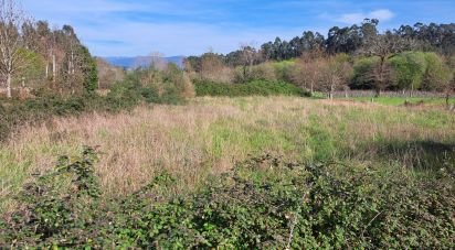 Terrain agricole à Pico de Regalados, Gondiães e Mós de 1 354 m²