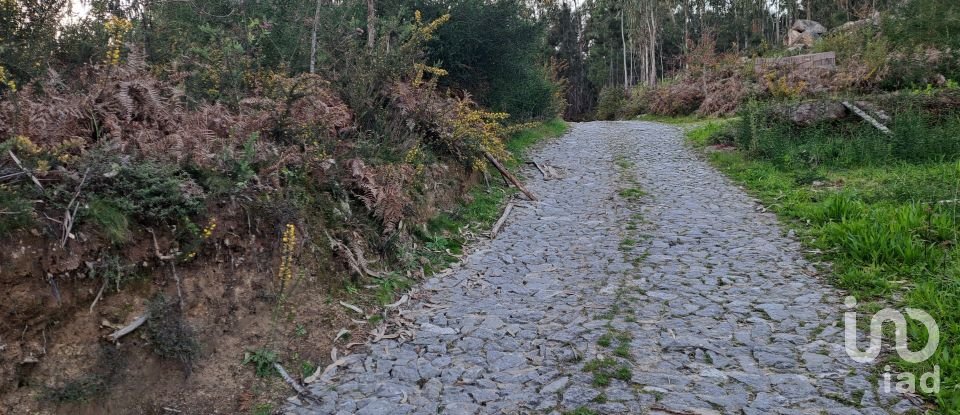 Terrain à Pico de Regalados, Gondiães e Mós de 1 837 m²