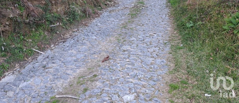 Terrain à Pico de Regalados, Gondiães e Mós de 1 837 m²