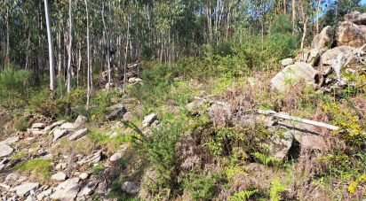 Terrain à Pico de Regalados, Gondiães e Mós de 1 837 m²