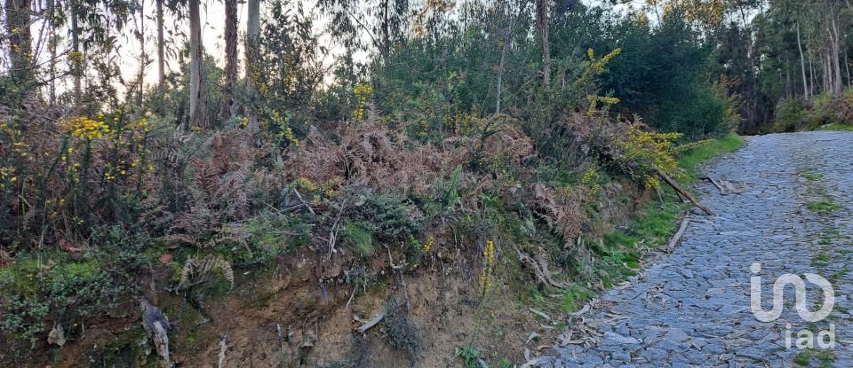 Terrain à Pico de Regalados, Gondiães e Mós de 1 837 m²