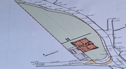 Terrain à Pico de Regalados, Gondiães e Mós de 1 013 m²