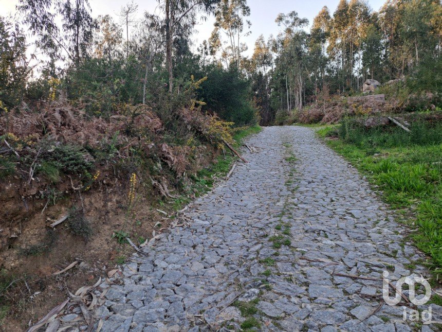 Land in Pico de Regalados, Gondiães e Mós of 1,013 m²