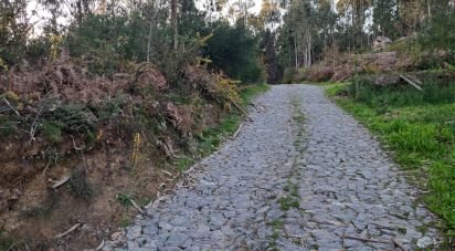 Terrain à Pico de Regalados, Gondiães e Mós de 1 013 m²