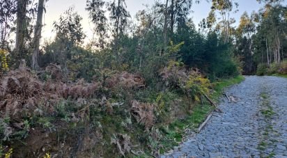 Terrain à Pico de Regalados, Gondiães e Mós de 1 013 m²