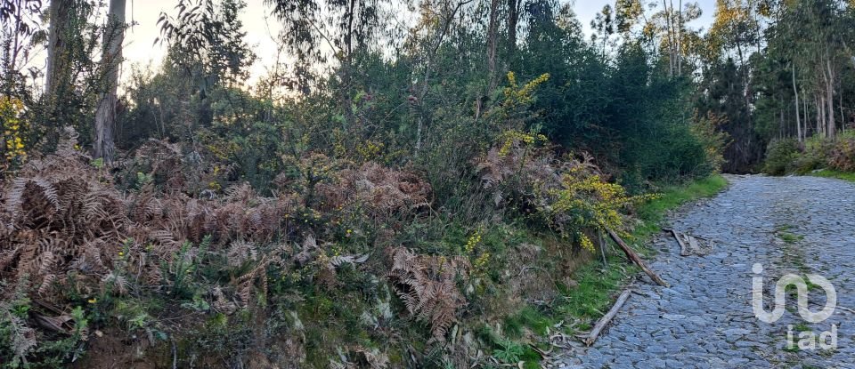 Land in Pico de Regalados, Gondiães e Mós of 1,013 m²