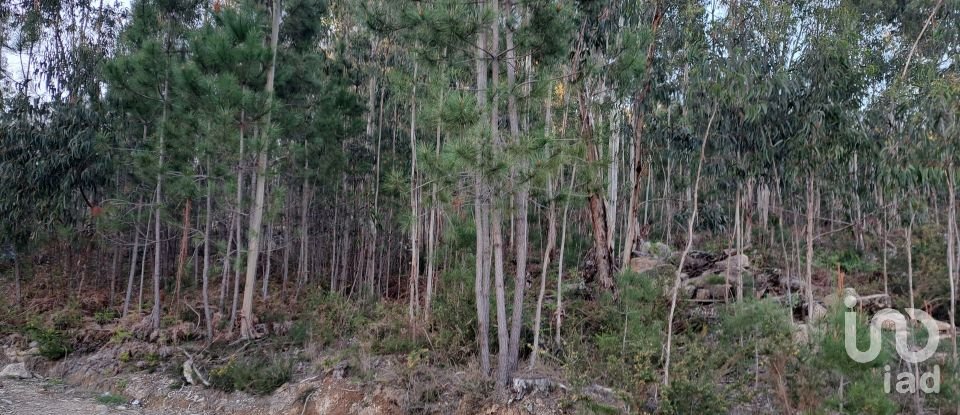 Land in Pico de Regalados, Gondiães e Mós of 1,013 m²