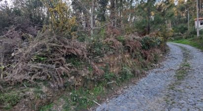 Terrain à Pico de Regalados, Gondiães e Mós de 1 013 m²