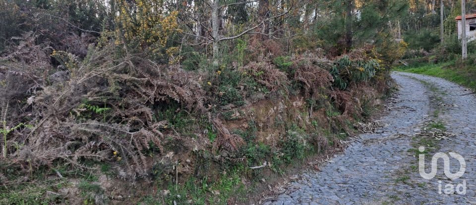 Land in Pico de Regalados, Gondiães e Mós of 1,013 m²