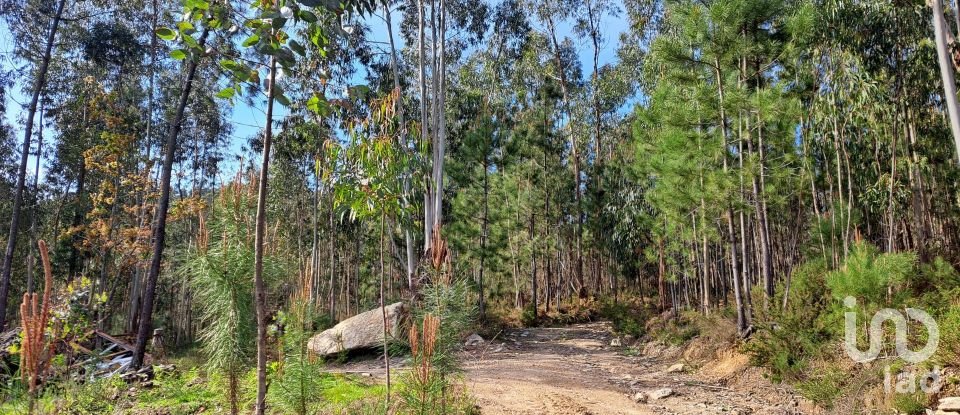 Land in Pico de Regalados, Gondiães e Mós of 1,013 m²