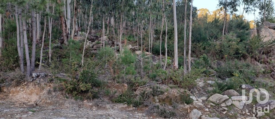 Land in Pico de Regalados, Gondiães e Mós of 1,013 m²