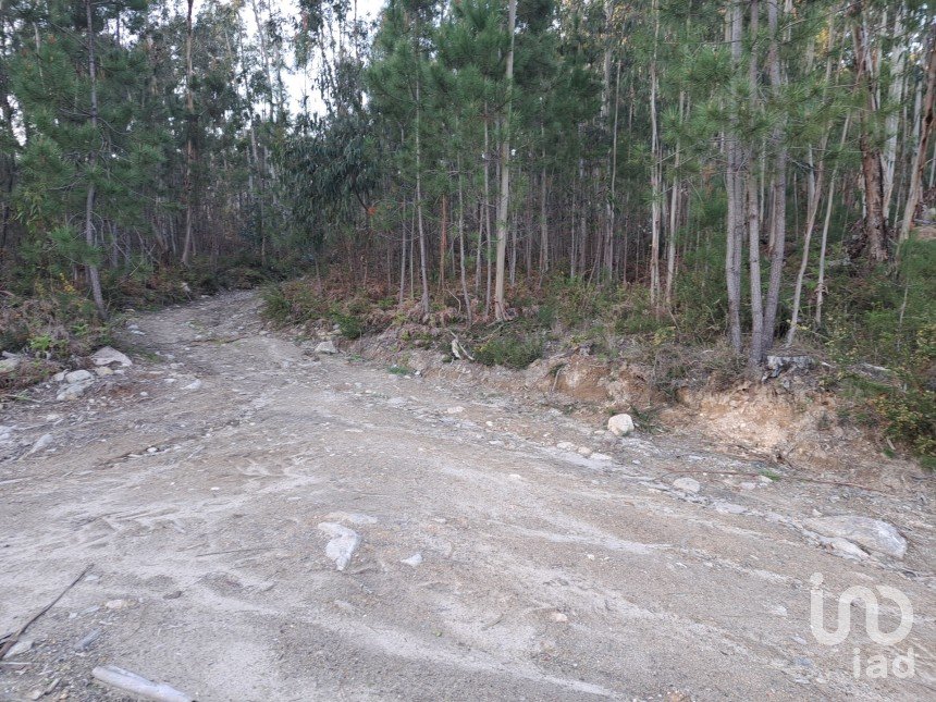 Land in Pico de Regalados, Gondiães e Mós of 3,320 m²