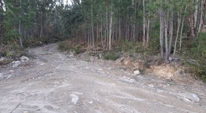 Terrain à Pico de Regalados, Gondiães e Mós de 3 320 m²