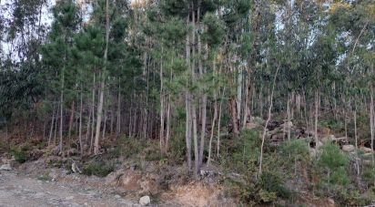 Terrain à Pico de Regalados, Gondiães e Mós de 3 320 m²