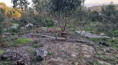 Terrain à Pico de Regalados, Gondiães e Mós de 3 320 m²