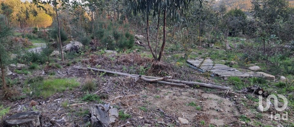 Land in Pico de Regalados, Gondiães e Mós of 3,320 m²