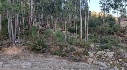 Terrain à Pico de Regalados, Gondiães e Mós de 3 320 m²