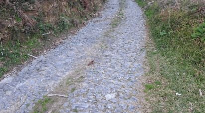 Terrain à Pico de Regalados, Gondiães e Mós de 3 320 m²