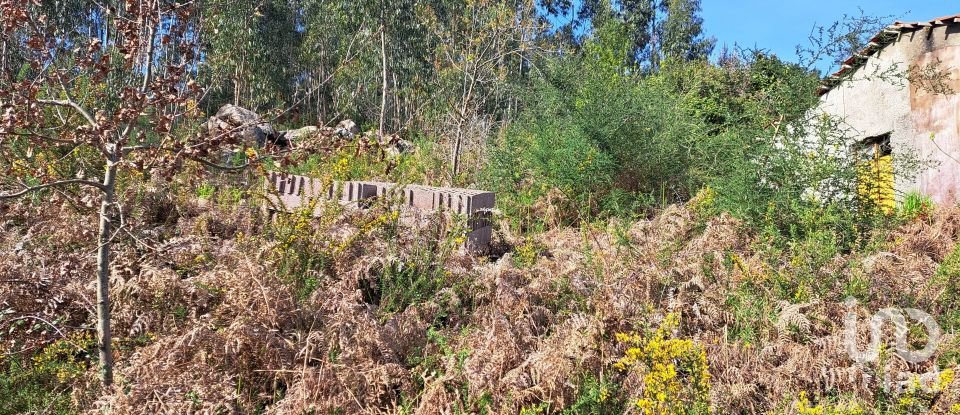 Land in Pico de Regalados, Gondiães e Mós of 3,320 m²