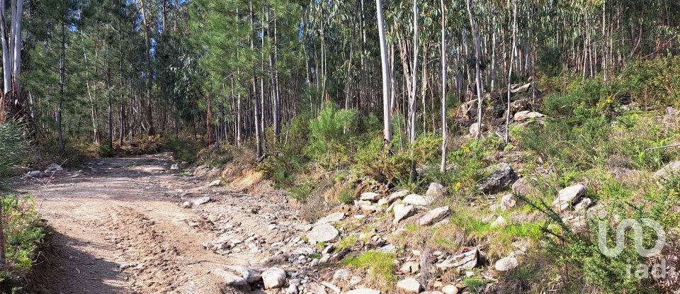 Land in Pico de Regalados, Gondiães e Mós of 3,320 m²