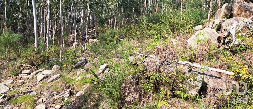 Land in Pico de Regalados, Gondiães e Mós of 3,320 m²