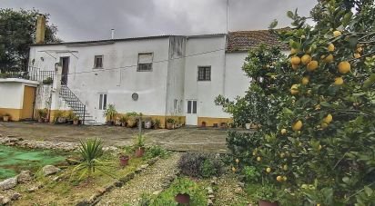 Quinta T8 em Achete, Azoia De Baixo e Póvoa de Santarém de 450 m²