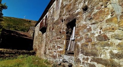 Ferme T0 à Salto de 350 000 m²