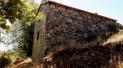 Ferme T0 à Salto de 350 000 m²