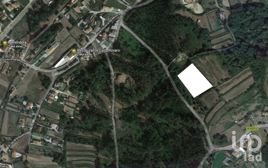 Terrain agricole à Ganfei de 4 800 m²