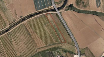 Terrain agricole à Ventosa de 3 520 m²