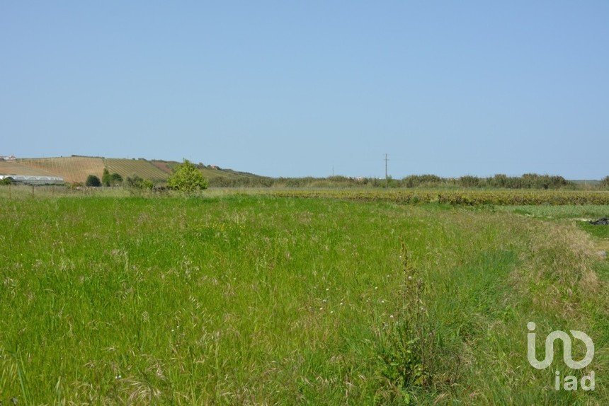 Terrain agricole à Ventosa de 3 520 m²