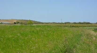 Terrain agricole à Ventosa de 3 520 m²