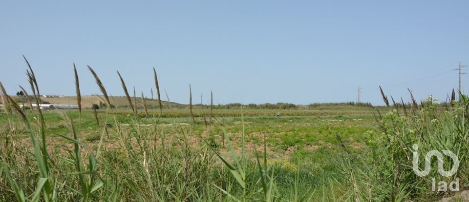Terreno Agrícola em Ventosa de 3 520 m²