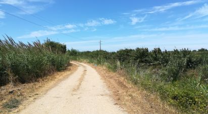 Terrain agricole à Ventosa de 3 520 m²