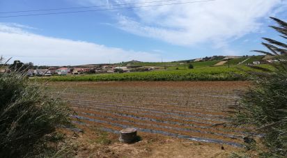 Terrain agricole à Ventosa de 3 520 m²