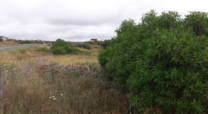 Ferme T2 à Almargem do Bispo, Pêro Pinheiro e Montelavar de 208 m²