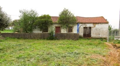 Maison T3 à São Pedro de Tomar de 106 m²