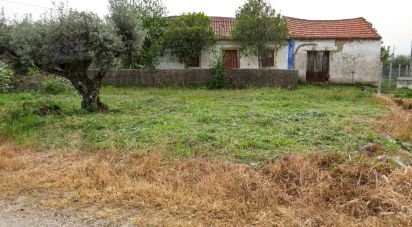 Maison T3 à São Pedro de Tomar de 106 m²