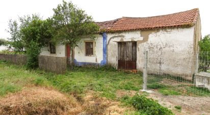 Maison T3 à São Pedro de Tomar de 106 m²