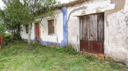 Maison T3 à São Pedro de Tomar de 106 m²