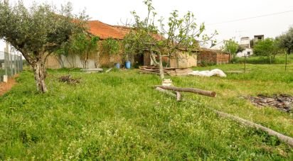 Maison T3 à São Pedro de Tomar de 106 m²