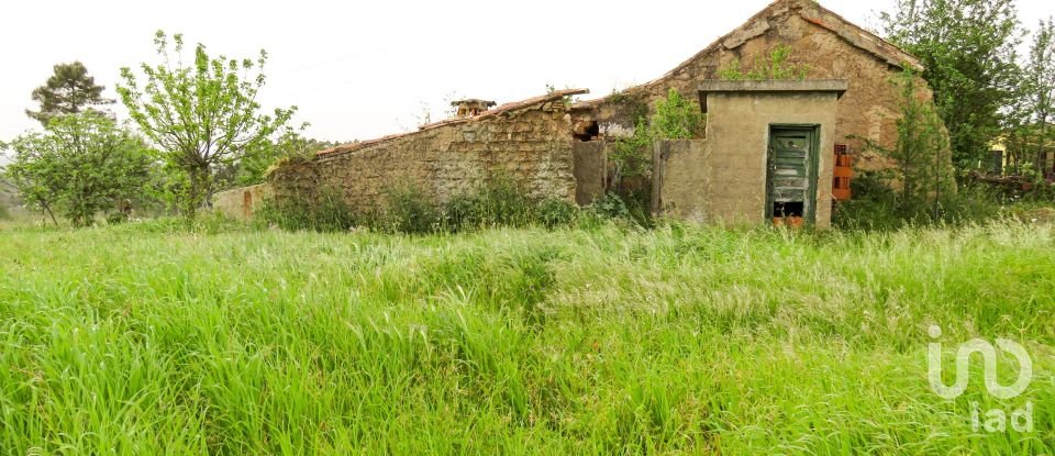 Maison T3 à São Pedro de Tomar de 106 m²