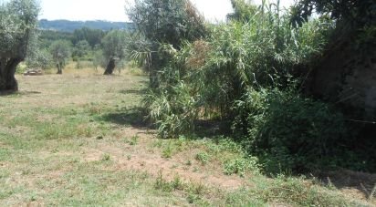 Terrain à Areias e Pias de 5 360 m²