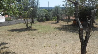 Terrain à Areias e Pias de 5 360 m²