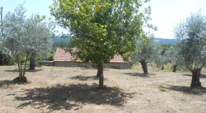 Terrain à Areias e Pias de 5 360 m²