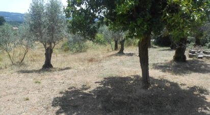 Terrain à Areias e Pias de 5 360 m²