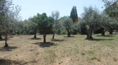 Terrain à Areias e Pias de 5 360 m²